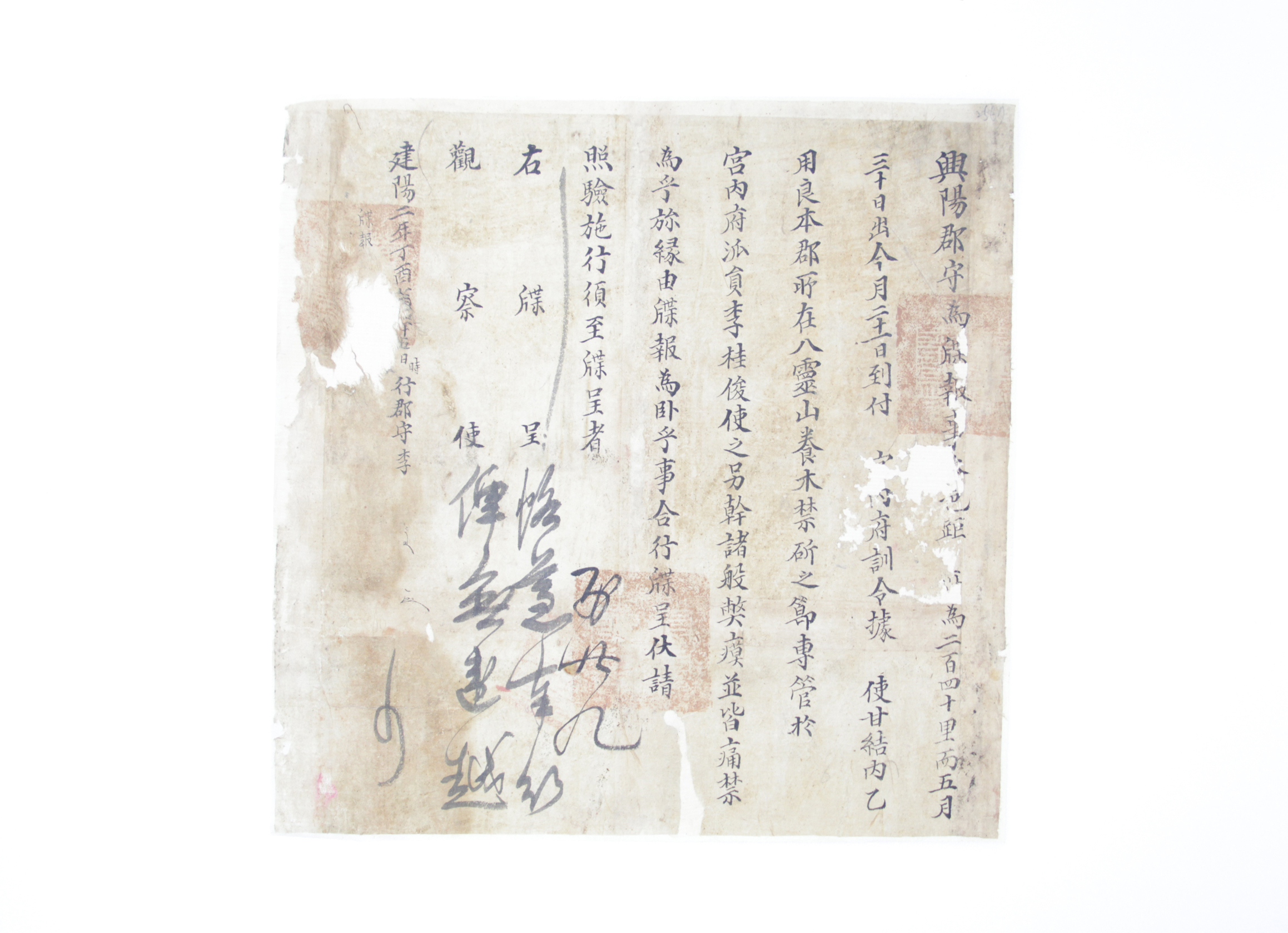 1897년 흥양군수 첩보(산림) 섬네일 파일